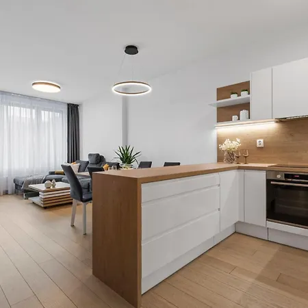 Skypark Spacious Free Parking Apartman