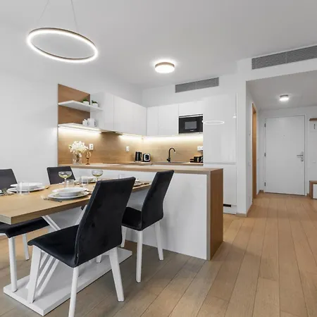 Skypark Spacious Free Parking 公寓 布拉迪斯拉发